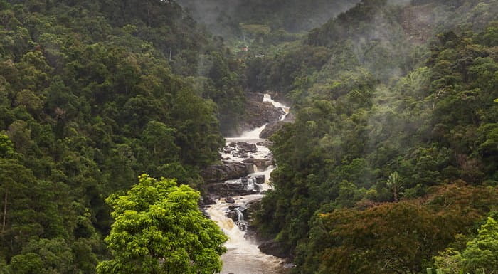 A lush valley full of trees with a river running through it 